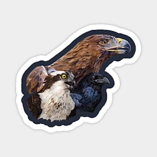 Birds of prey Magnet