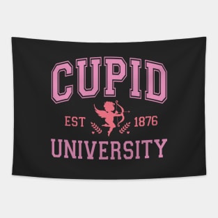 Cupid University Est 1876 Valentine Pink Tapestry