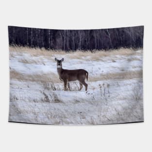 Whitetailed deer in a field. Tapestry