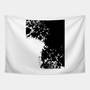 Empty Space Nature Lovers Tapestry