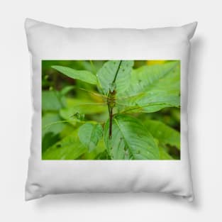 Giant Dragonfly Pillow