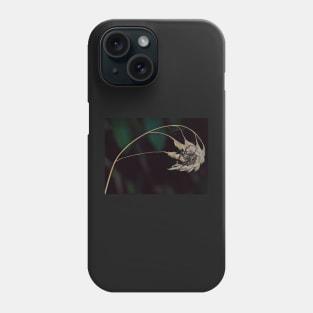 THE FIBONACCI SPIDERS Phone Case