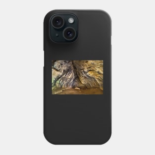 The Bolii Cave in Romania Phone Case