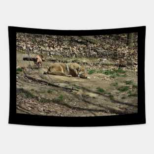 Coyote Tapestry