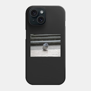 Greeting from Pigeon Phone Case