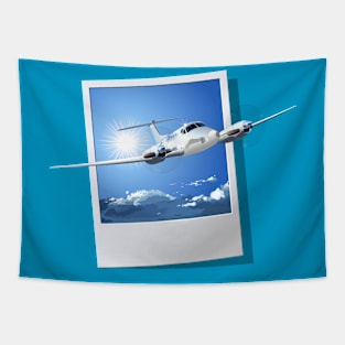 Civil utility airplane Tapestry