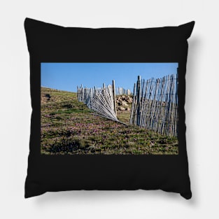 Broken Fence Pillow