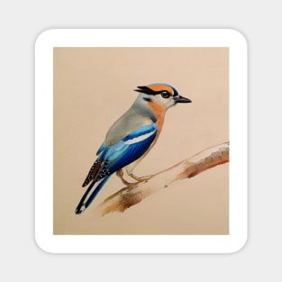 Eurasian Jay Magnet