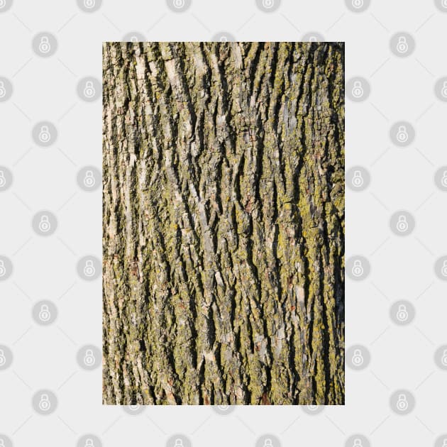 Tree Bark, Wood Grain for a Rustic Look by Tenpmcreations