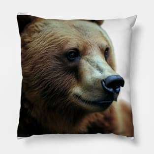 A brown bear in nature that looks cute and cuddly looks warm. Pillow