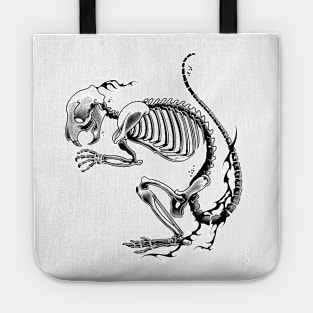 bone ⭐⭐⭐⭐ Tote