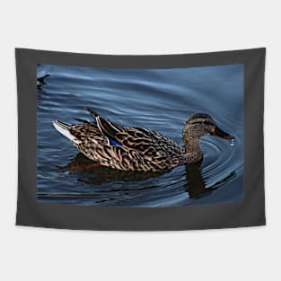 A duck with a water drop. Tapestry