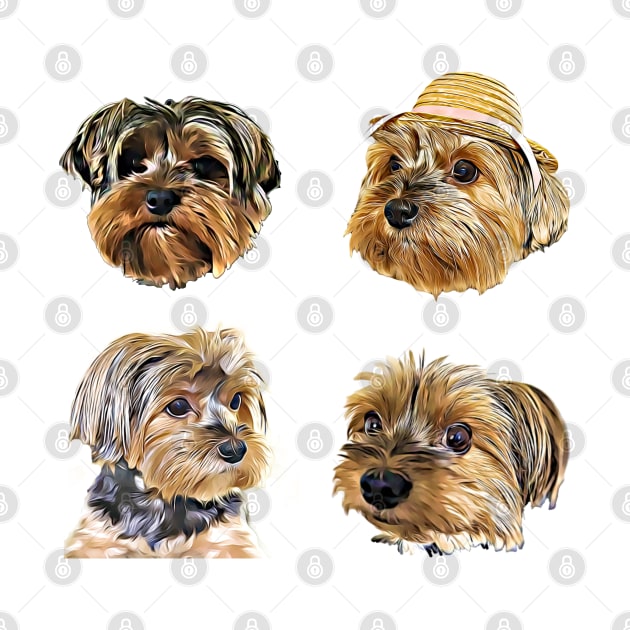 Cute Yorkshire Terrier Yorkie faces by AdrianaHolmesArt