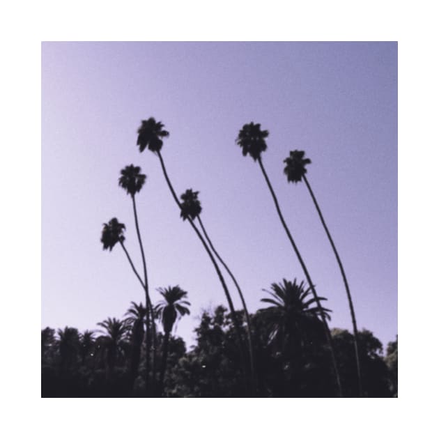 Los Angeles Palm Trees by igjustin