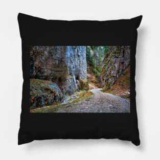 Deep canyon Pillow