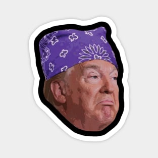 Prison Trump Magnet