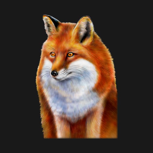 Red Fox by Tim Jeffs Art