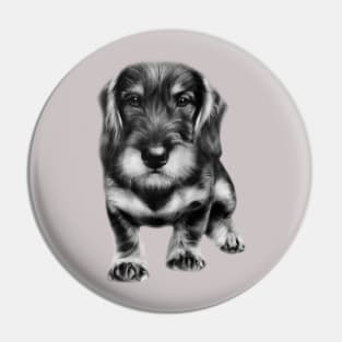 Dachshund painting Pin