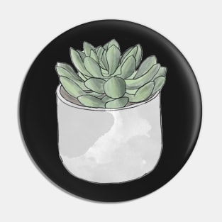 A cute potted succulent Pin