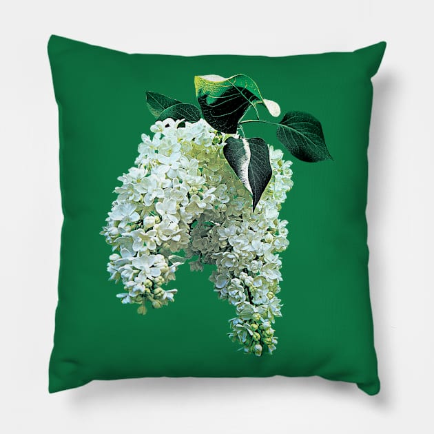 Lilacs - White Lilacs Pillow by SusanSavad