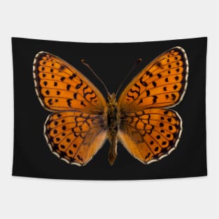 Special Black and Orange Butterfly | Entomology Lover Tapestry