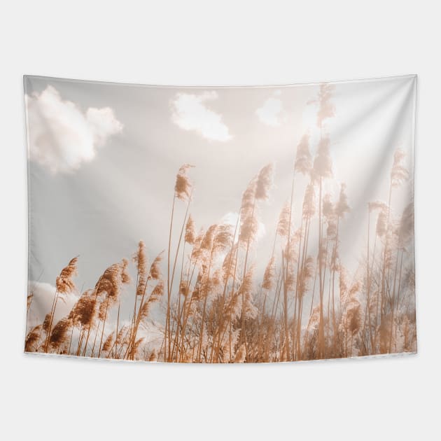 Waving Reed, Golden Hour | Nature Photography | Backlight Fine Art Print Tapestry by Melissa Peltenburg Travel Photography