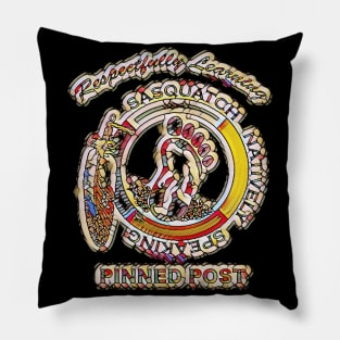 Pinned Post Pillow