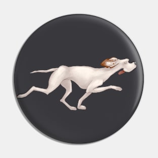 White hound dog is running. Hunting Pointer Pin