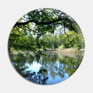 Tree branches hanging over a pond Pin