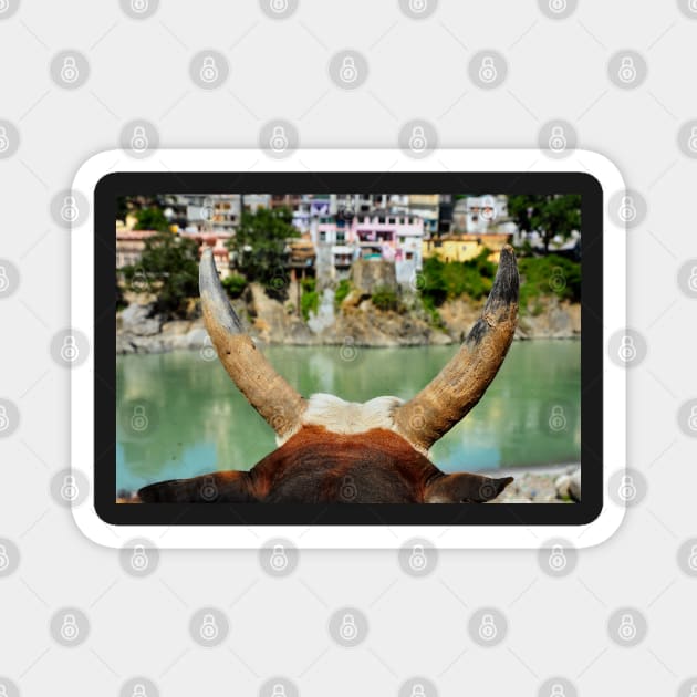 Holy Cow River Ganges Meditation Magnet by PlanetMonkey