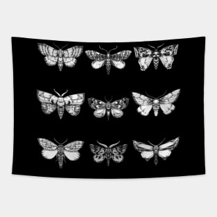 Moths Tapestry