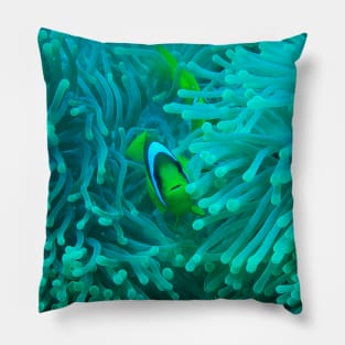 Nemo fish Pillow