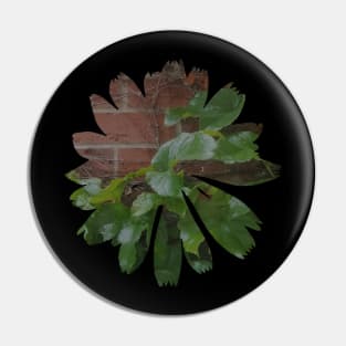 Brick Ivy Flower Pin