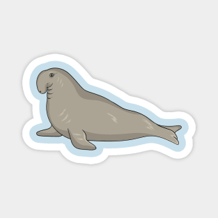 Elephant seal cartoon illustration Magnet