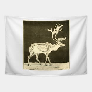 Reindeer Skeleton Vintage Illustration Tapestry