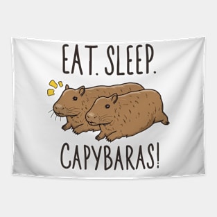 Eat Sleep Capybaras! Tapestry