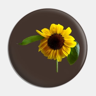 Sunflowers - Golden Sunflower Pin