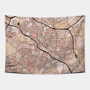 Durham Map Pattern in Soft Pink Pastels Tapestry