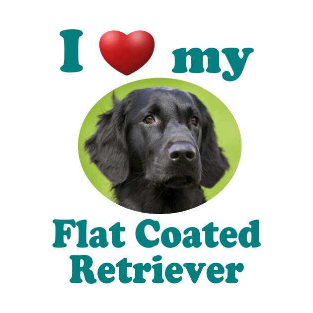 I Love My Flat Coated Retriever by Naves