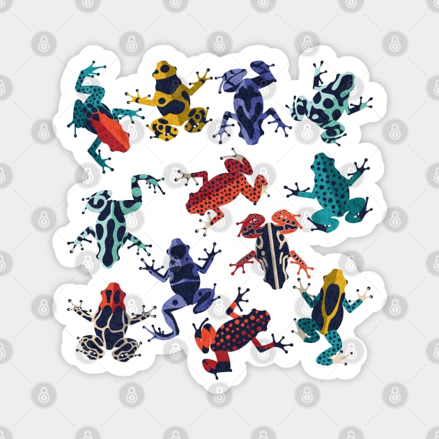 Quirky dart frogs dance // spot // brightly multicoloured poison amphibians Magnet by SelmaCardoso