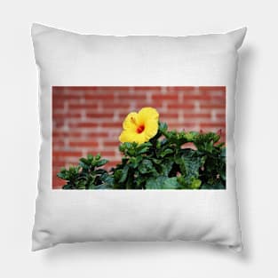 Yellow Hibiscus Pillow