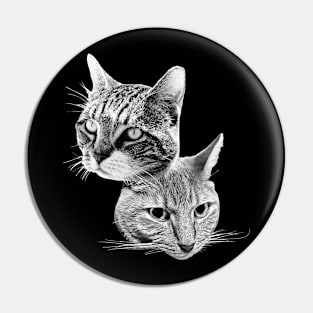 Cats!!! Pin