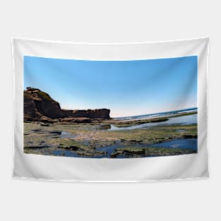 Otter Crest Beach Oregon Tapestry