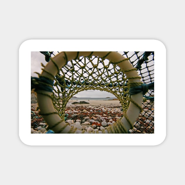 Lobster Eye View Magnet by RoystonVasey