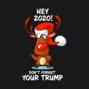 Don't Forget Your Trump 2020 Reindeer Matching Group T-Shirt