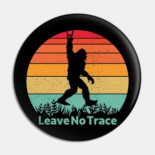 Leave No Trace Pin