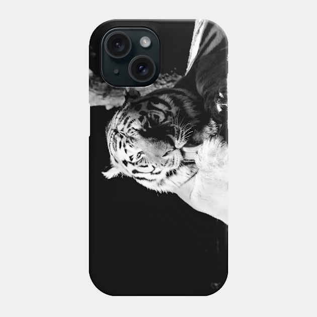 Year of the tiger 2022 / 2 / Swiss Artwork Photography Phone Case by RaphaelWolf