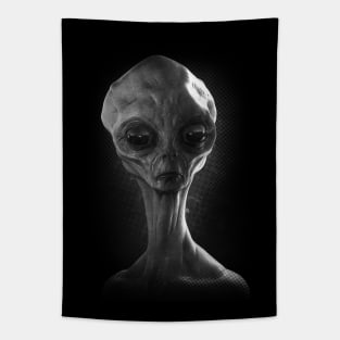 Zeta Alien Tapestry