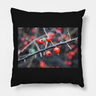 Winter Red Fruits Pillow