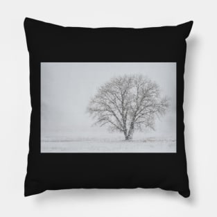 Bare Tree Pillow